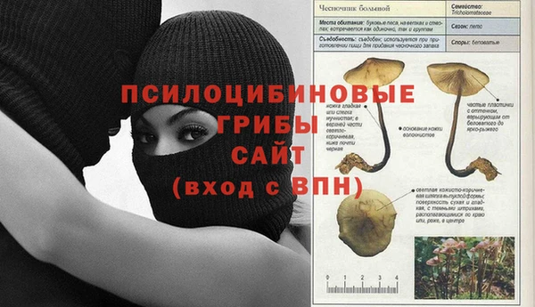 хмурый Алексеевка