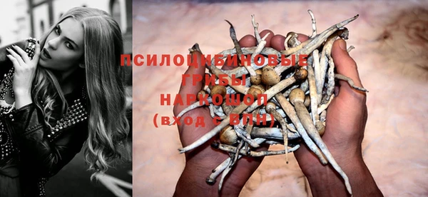 хмурый Алексеевка