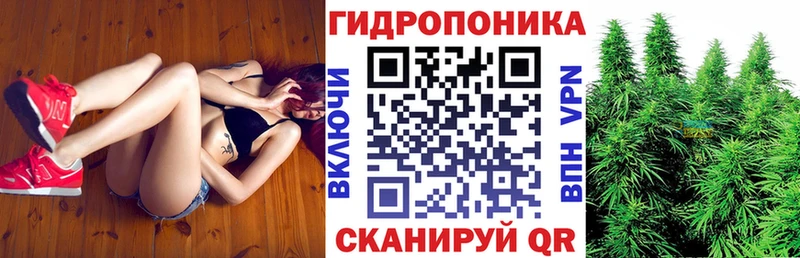 Конопля Ganja магазин продажи Тавда